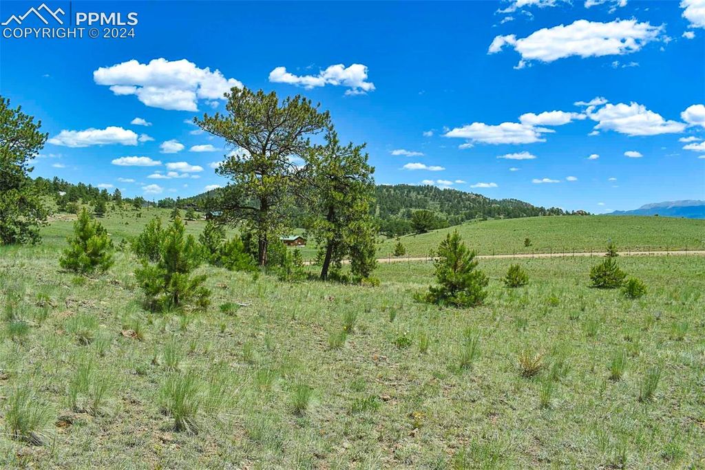 56 View Lane, Guffey, CO 80820 — photo 5