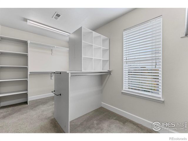 5609 Coppervein Street, Fort Collins, CO 80528