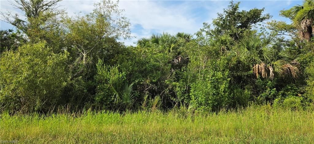 45th AVE NE, NAPLES, FL 34120 — photo 4