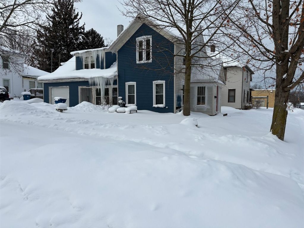 217 E Lincoln Street, Hart, MI 49420