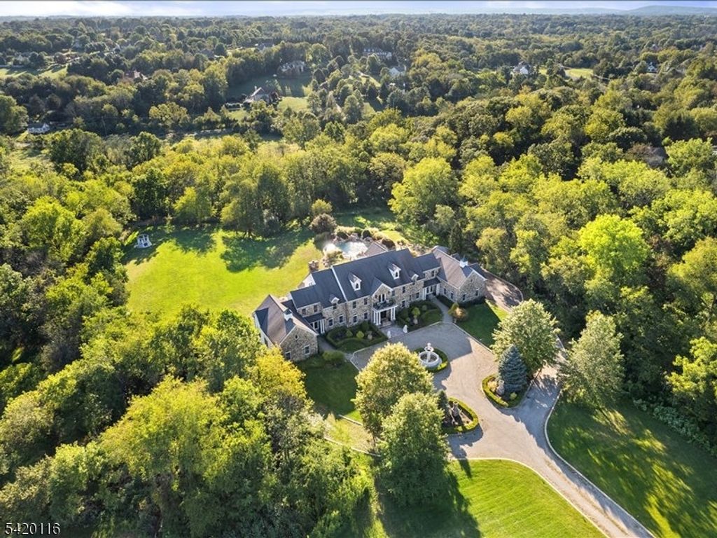406 Caruso Ct, Branchburg Twp., NJ 08853 — photo 3