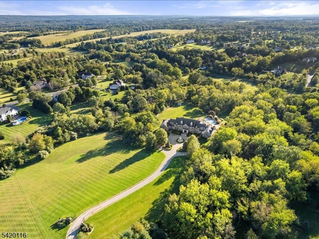 406 Caruso Ct, Branchburg Twp., NJ 08853 — photo 4