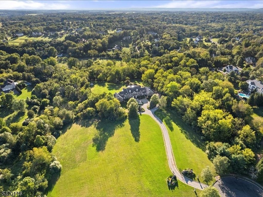 406 Caruso Ct, Branchburg Twp., NJ 08853 — photo 5