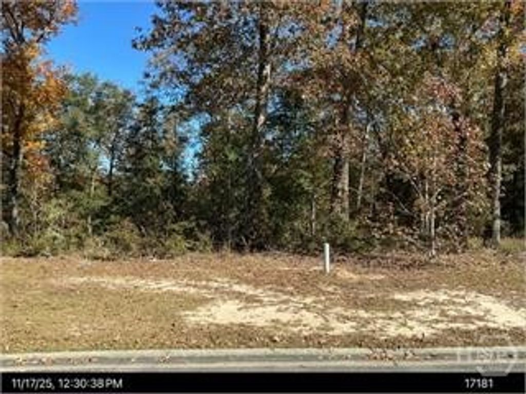 Image 1 of property listing at 152 Cubbedge Drive, Rincon, GA 31326