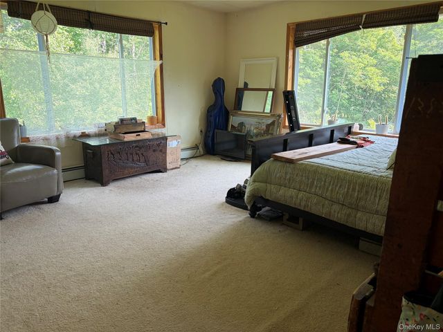 3 Kehrley Lane, Swan Lake, NY 12783