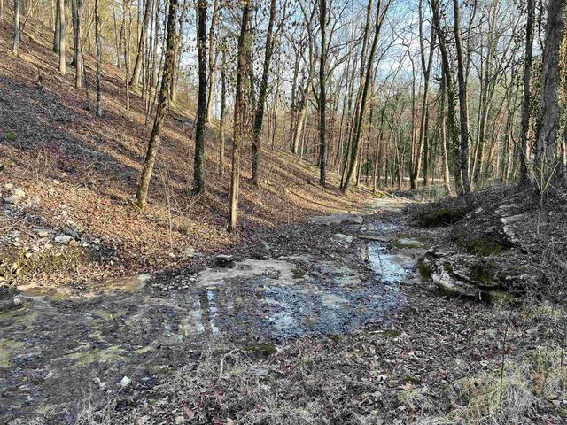 4137 NC 8167, Jasper, AR 72641