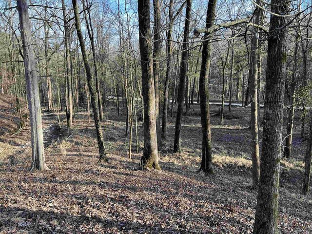 4137 NC 8167, Jasper, AR 72641