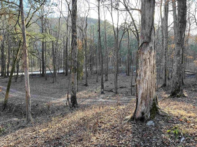 4137 NC 8167, Jasper, AR 72641