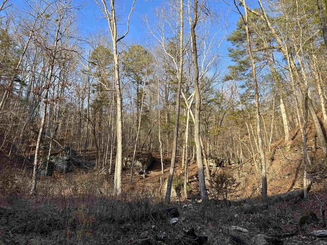 4137 NC 8167, Jasper, AR 72641