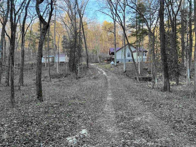 4137 NC 8167, Jasper, AR 72641