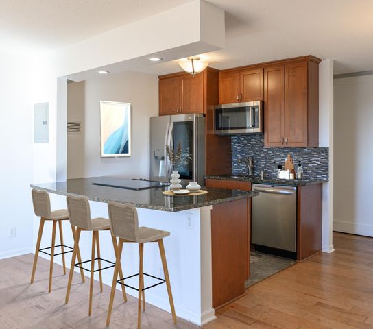 410 Groveland Avenue 1906, Minneapolis, MN 55403