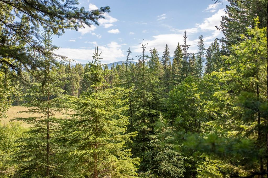 767 Lupfer Road, Whitefish, MT 59937 photo 62