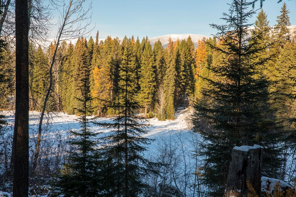 767 Lupfer Road, Whitefish, MT 59937 photo 63