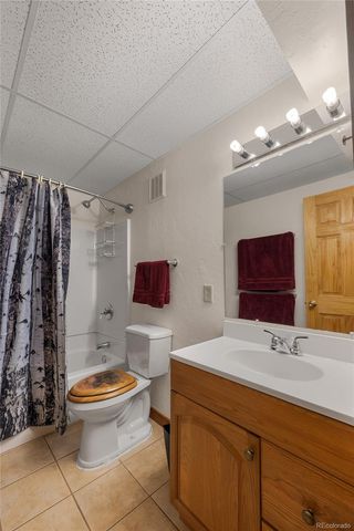 353 Wood Rose Way, Leadville, CO 80461