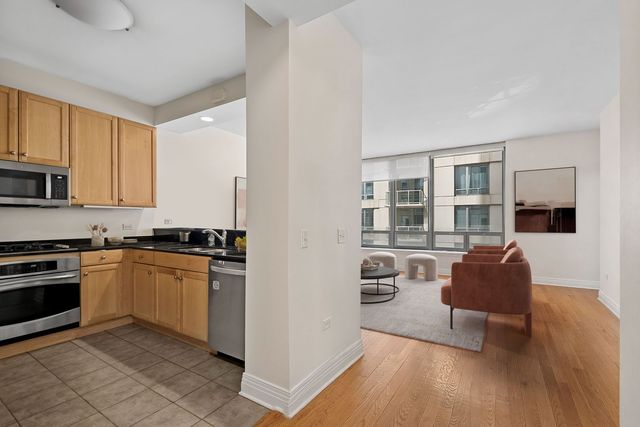 600 N Lake Shore Drive 1910, Chicago, IL 60611