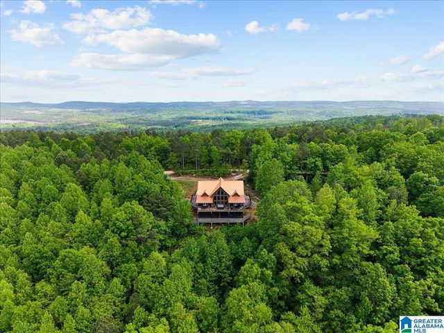 1190 SKYWAY DRIVE, Lineville, AL 36266
