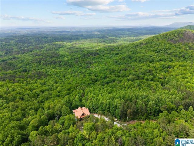 1190 SKYWAY DRIVE, Lineville, AL 36266