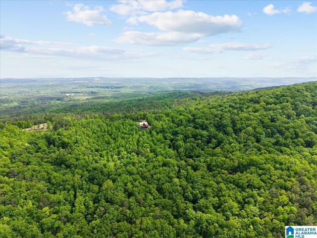 1190 SKYWAY DRIVE, Lineville, AL 36266
