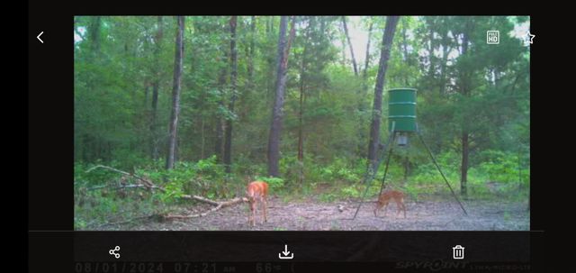 9948 Richardson Rd, Athens, TX 75751