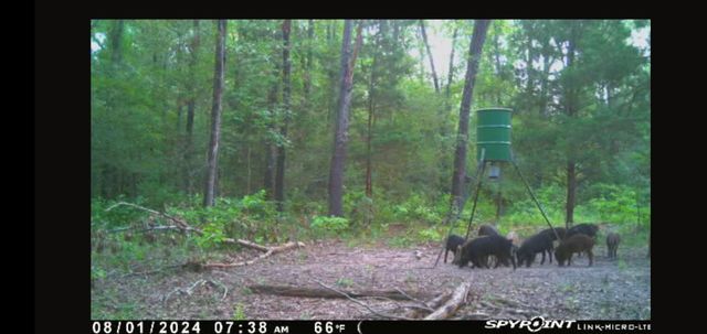 9948 Richardson Rd, Athens, TX 75751