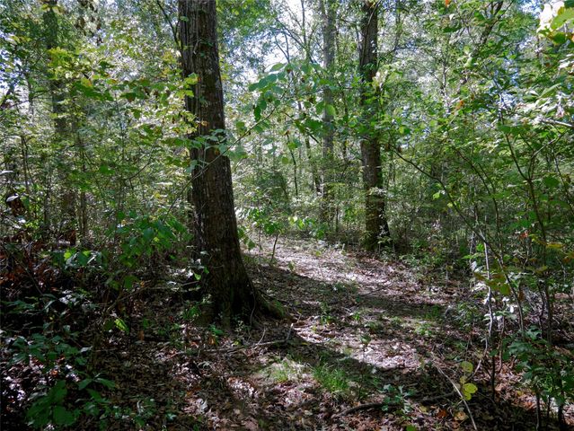 9948 Richardson Rd, Athens, TX 75751