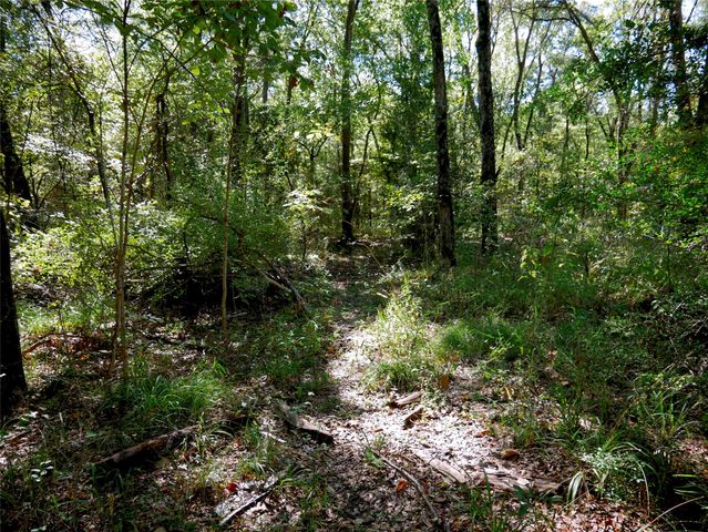9948 Richardson Rd, Athens, TX 75751