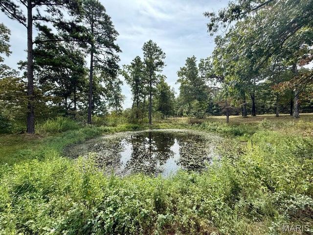 20404 Alpine Trail, Raymondville, MO 65555