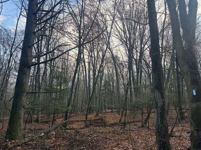 Country Club Rd and Massa Tom Rd Road East, Middletown, CT 06457