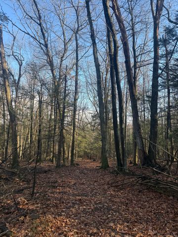 Country Club Rd and Massa Tom Rd Road East, Middletown, CT 06457