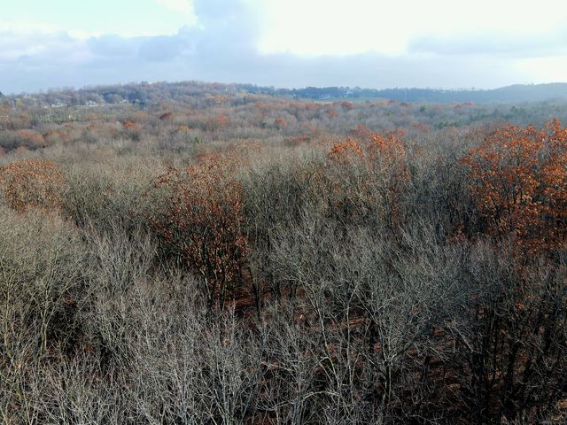 Country Club Rd and Massa Tom Rd Road East, Middletown, CT 06457