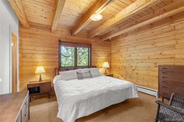424 Dry Gulch Road, Fairplay, CO 80440