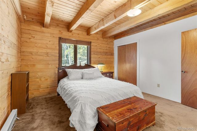 424 Dry Gulch Road, Fairplay, CO 80440
