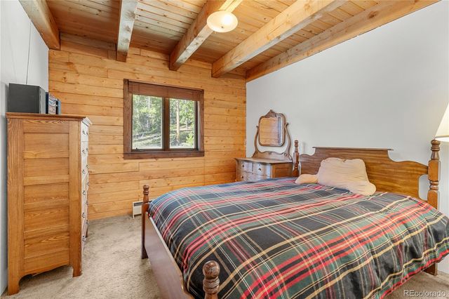 424 Dry Gulch Road, Fairplay, CO 80440