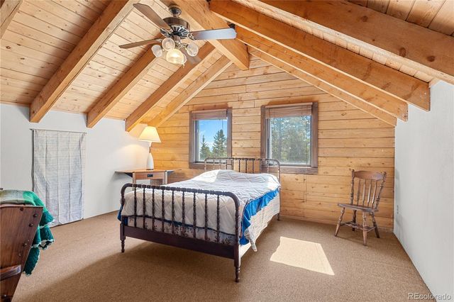 424 Dry Gulch Road, Fairplay, CO 80440