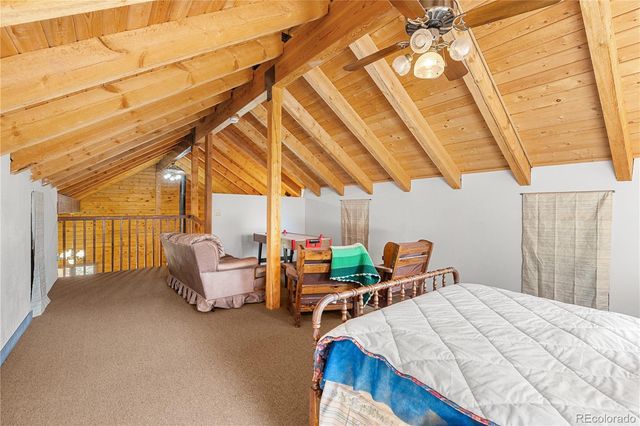 424 Dry Gulch Road, Fairplay, CO 80440