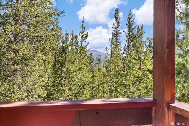 424 Dry Gulch Road, Fairplay, CO 80440
