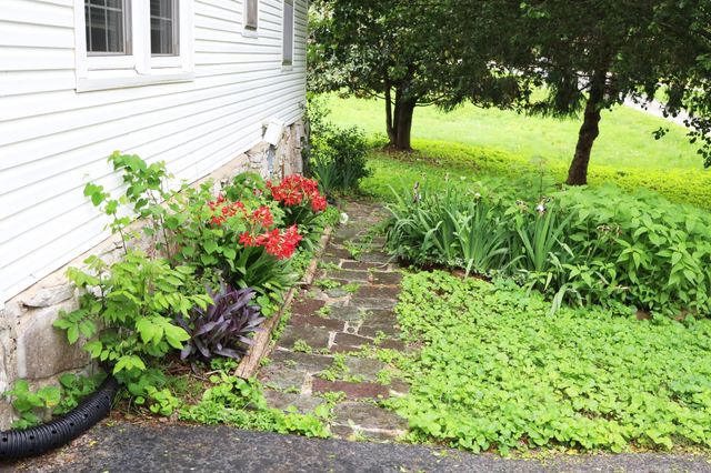 8300 Elkton Pike, Prospect, TN 38477