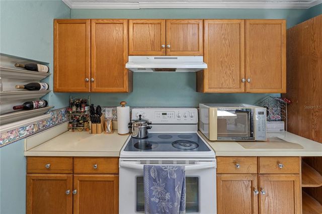 26015 SACKAMAXON DRIVE, Sorrento, FL 32776