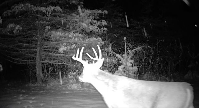 E13848 Dan Mar Court, Merrimac, WI 53561