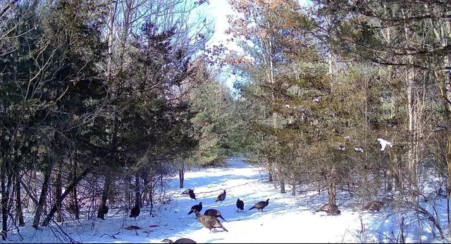 E13848 Dan Mar Court, Merrimac, WI 53561