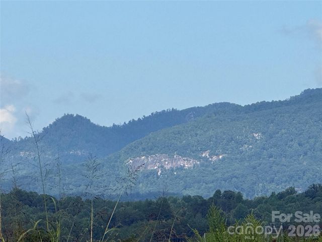 LOT 73 Ole Plantation Drive, Rutherfordton, NC 28139