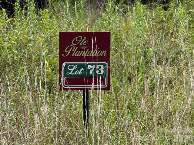 LOT 73 Ole Plantation Drive, Rutherfordton, NC 28139