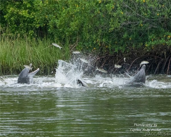 11590 N Kayak Point, Inglis, FL 34449