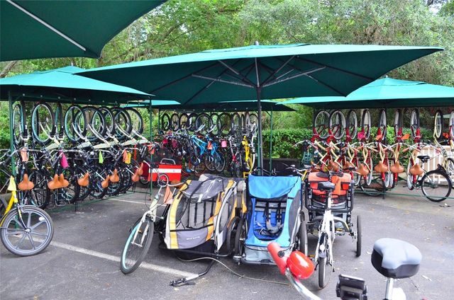 1129 MOSAIC DRIVE, Celebration, FL 34747