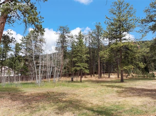 1100 Rampart Range Road, Woodland Park, CO 80863