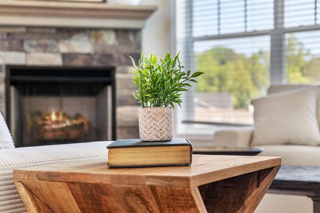 207 Nicole marie Court, Greer, SC 29651