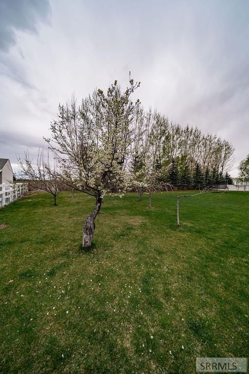 Image 64 of property listing at 4 N 3700 E, Rigby, ID 83442