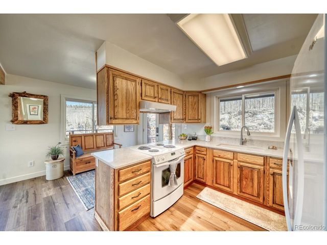 381 Empire Valley Dr, Leadville, CO 80461