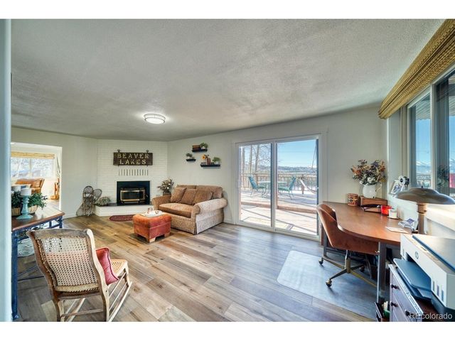 381 Empire Valley Dr, Leadville, CO 80461