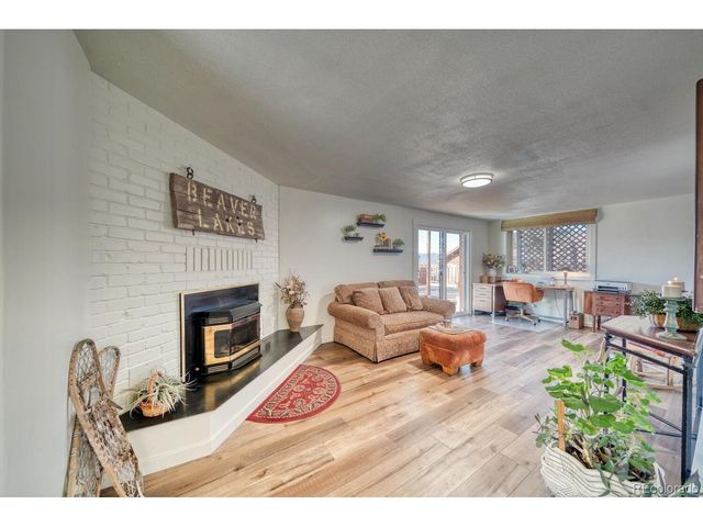 381 Empire Valley Dr, Leadville, CO 80461